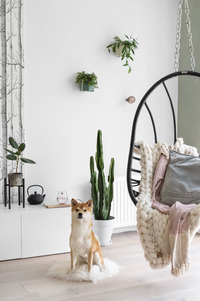 Nieuw groen in huis tanja van hoogdalem Groen in huis