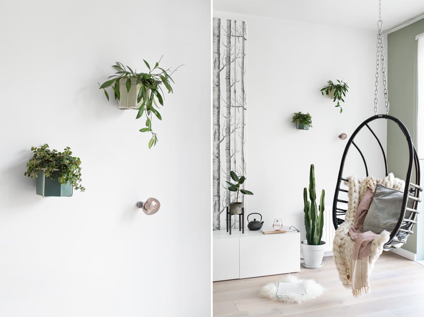 Nieuw groen in huis tanja van hoogdalem Groen in huis