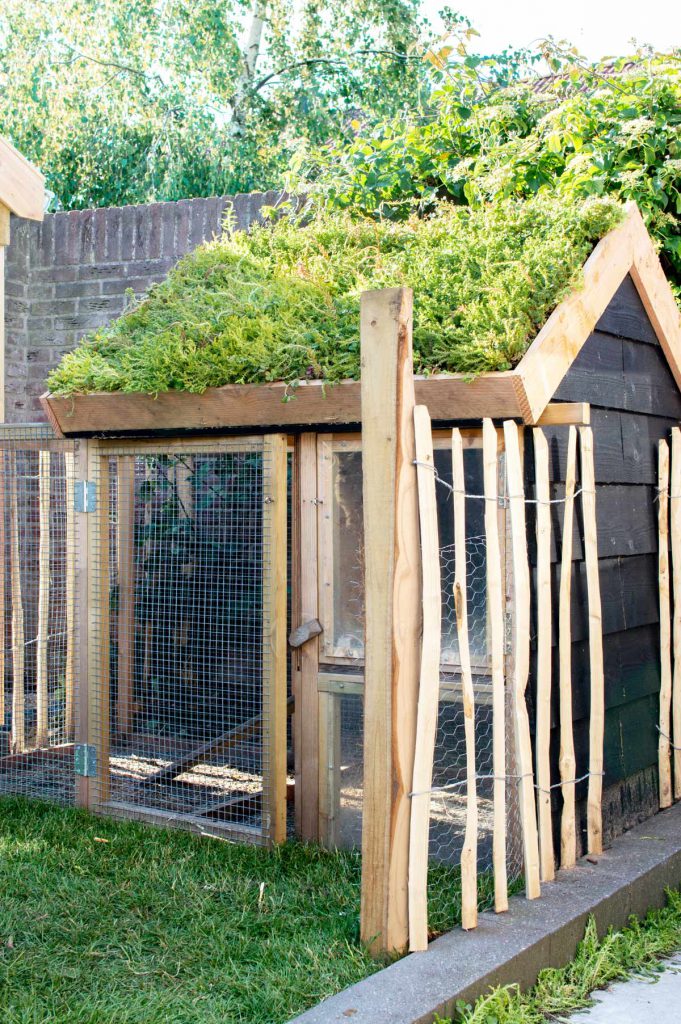 Eigen Huis & Tuin - romantische tuin met fruitbomen en kippen