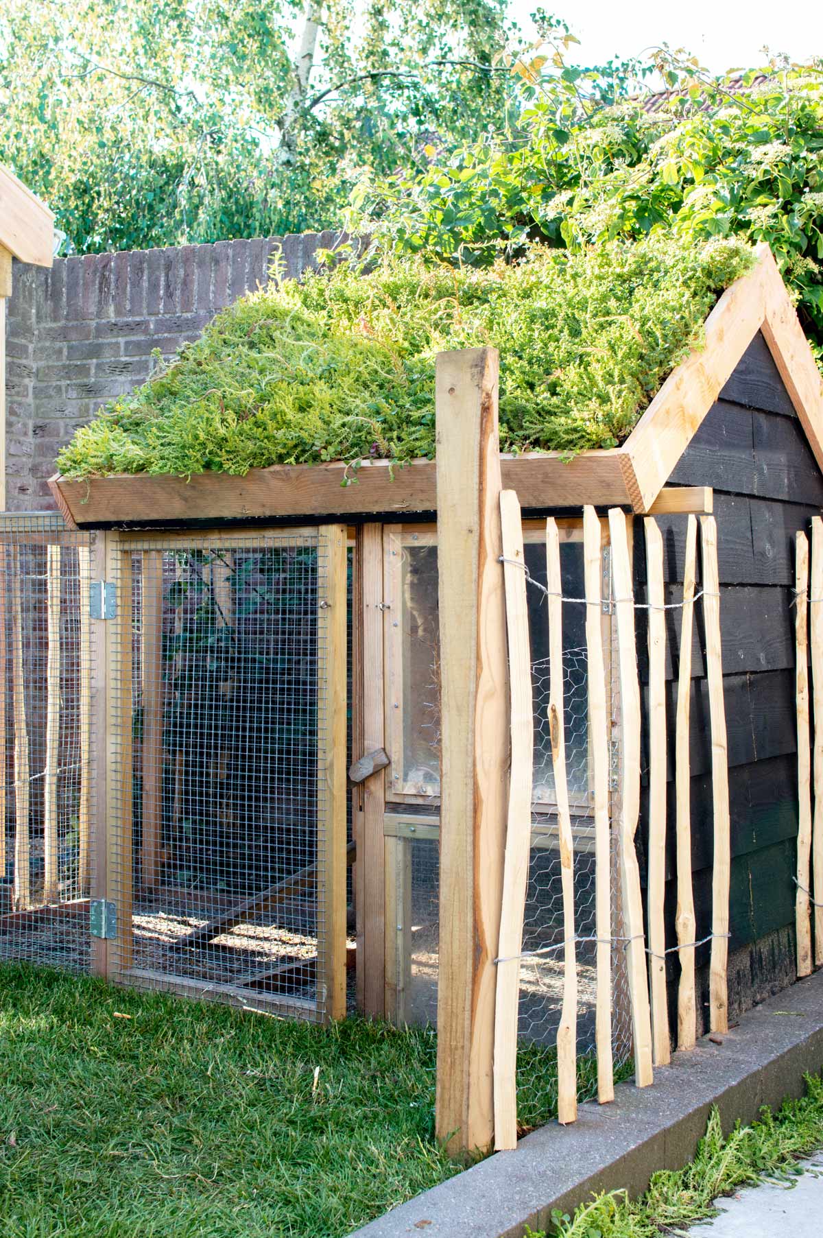 Ik heb een Engelse les Maakte zich klaar Martelaar Eigen Huis & Tuin: een landelijke tuin met kippen en veel groen - Tanja van  Hoogdalem