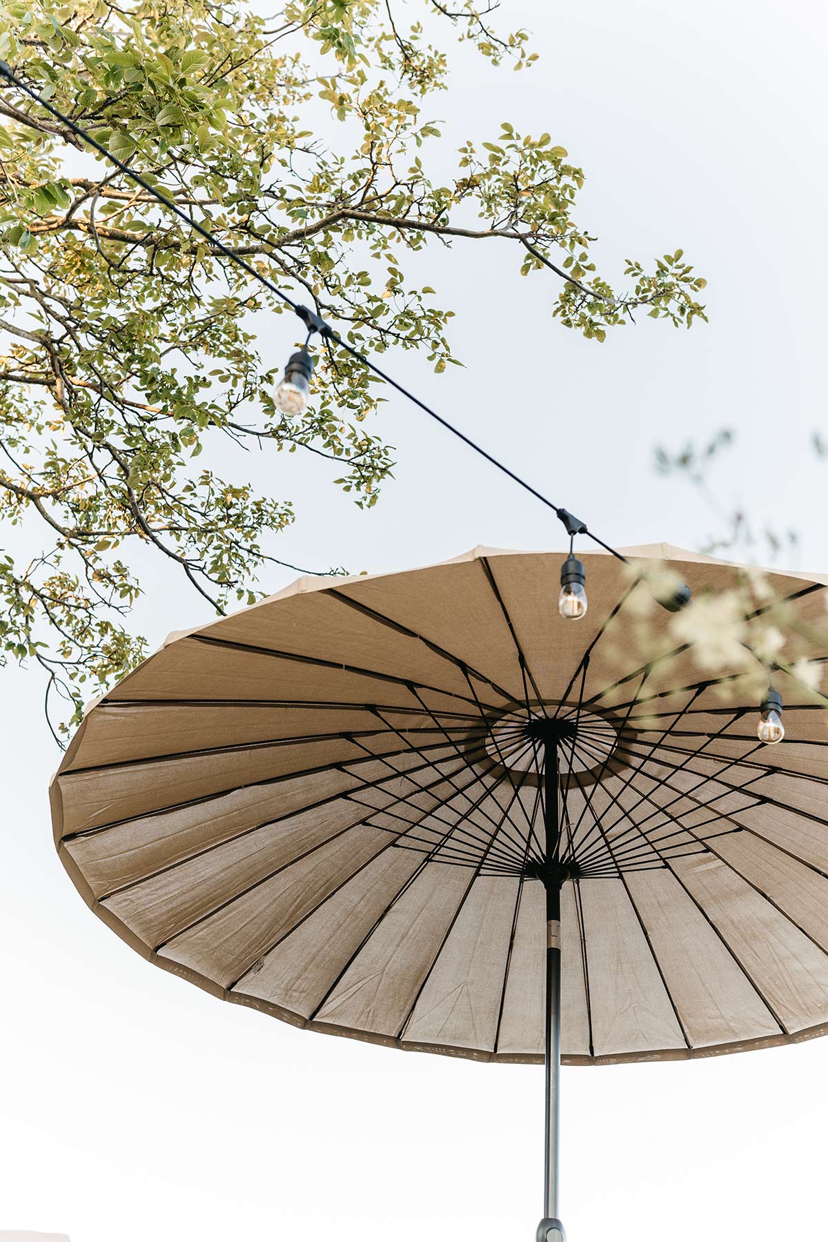 Parasol karwei - Tanja van Hoogdalem