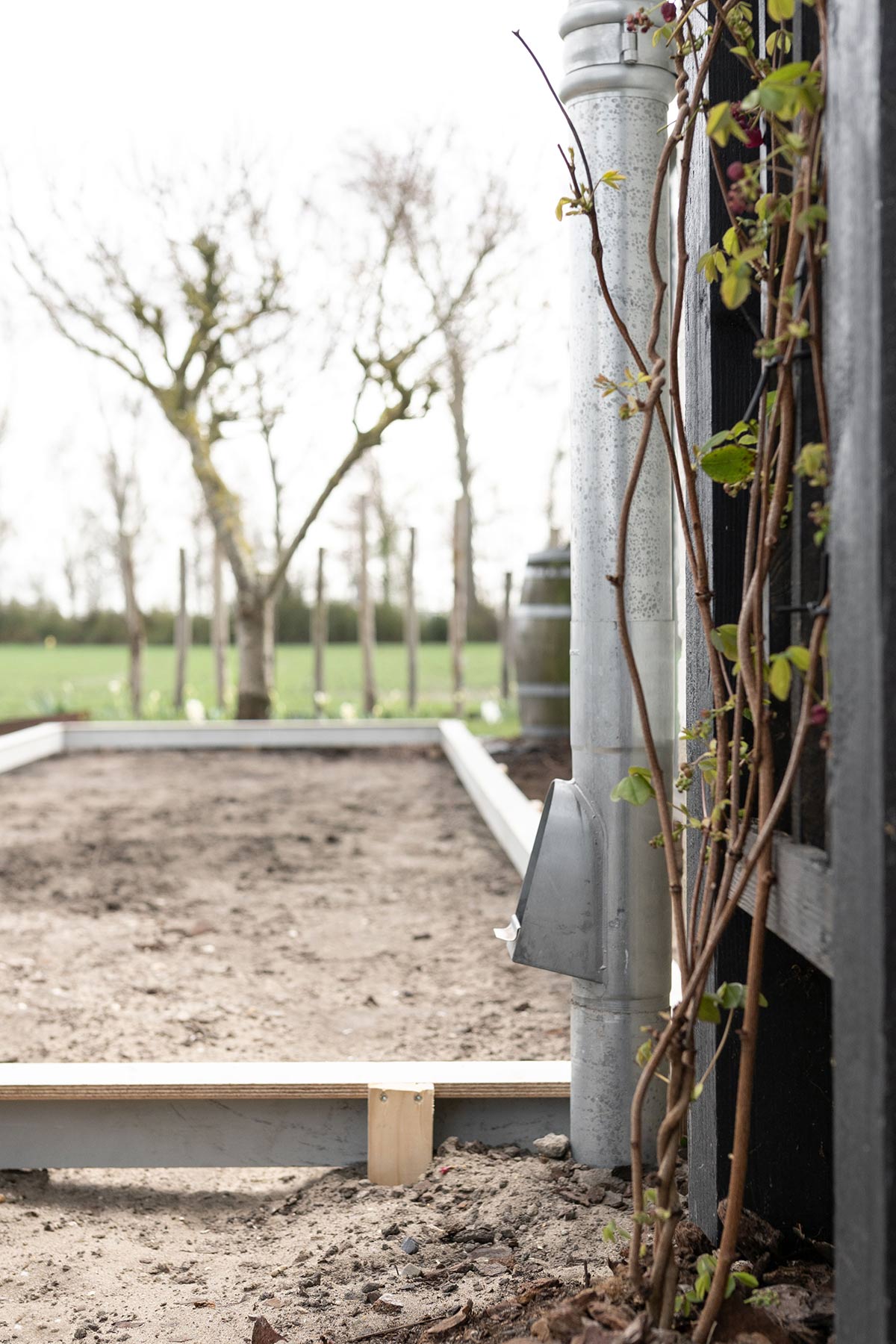 DIY pad beton tuin - TANJA VAN HOOGDALEM