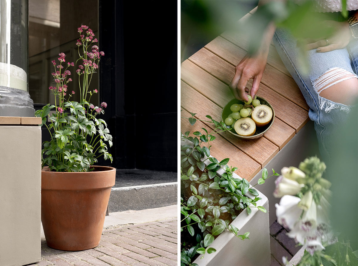 Beplanting geveltuin halfschaduw binnenstad - Tanja van Hoogdalem