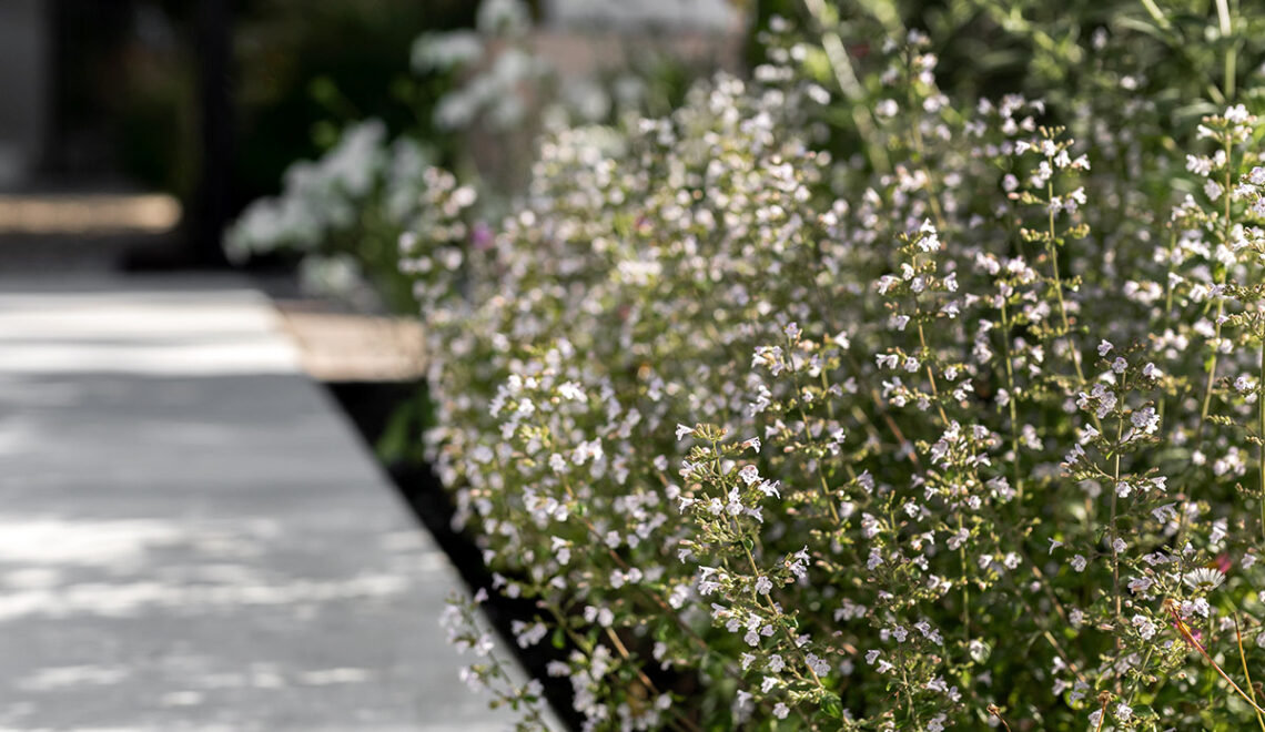 Creëer je eigen tuinpad van beton