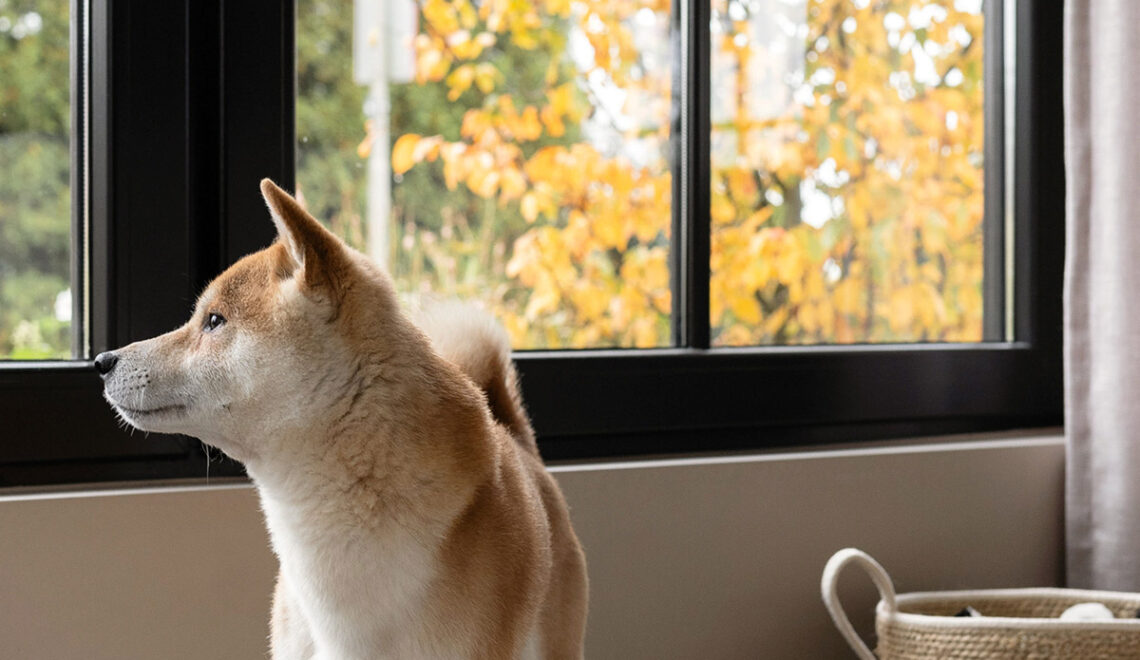 Herfstkleuren in huis: van buiten naar binnen